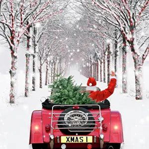 Avenues: Avenue of Trees - with Father Christmas driving