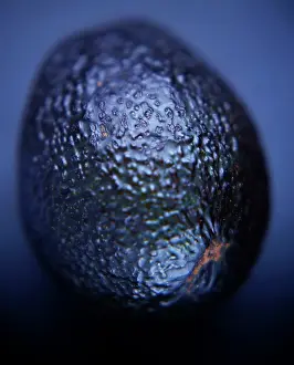 Persea: Avocado