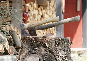 Hatchet: Axe in wood
