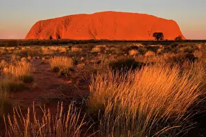 Ayers: Ayers Rock - Uluru - brightly ablaze Ayers Rock