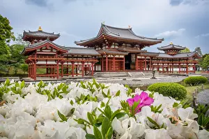 Enjoyment: Azalea in Byodoin temple, Ky&, x134bec; Japan