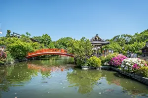 Lantern: Azalea at Shisen-en temple, Ky&, x134bec; Japan