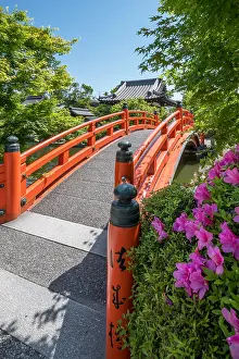 Rhododendron: Azalea at Shisen-en temple, Ky&, x134bec; Japan