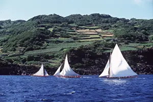 Sailing: AZORES - Calheta de Nesquim - whale boats