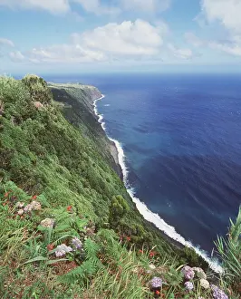 Headland: AZORES- Faial Island, North Coast