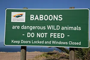 Ainmal: Baboon warning sign