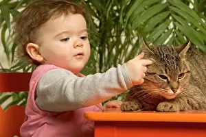 Stroking: Baby / Infant - with Cat