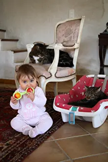 Rooms: Baby playing with cats around her France
