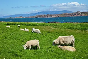 Mull: Background: Isle of Mull