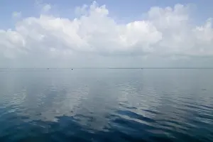 Backwaters: Backwaters of Kerala, India