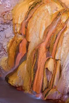Mats: Bacteria mats - bright orange and yellow bacteria