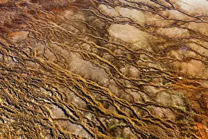 Midway: Bacterial Mats - in runoff water - Grand Prismatic