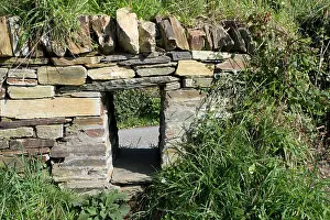 Access: Badger access left in wall