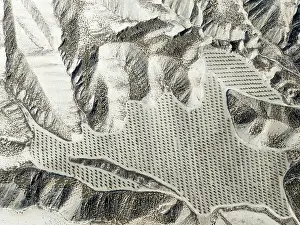 Isolation: Badlands and cultivated olive trees (Olea europaea)