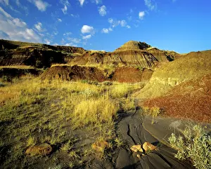 Dinosaur: Badlands at Dinosaur Provincial Park in