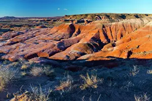 Petrified: Badlands, Petrified Forest National Park, Arizona