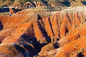 Petrified: Badlands, Petrified Forest National Park, Arizona
