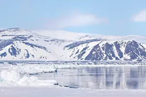 Pack: Baffin Bay with view on Bylot Island
