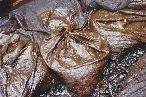 Reclamation: Bags of Waste from Exxon-Valdez Spill