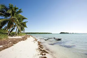 Banks: Bahia Honda State National Park, Florida Keys, United