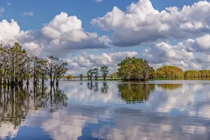 Adam: Bald cypress trees in autumn reflected on lake