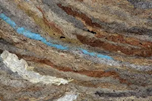 Hornets: Bald-faced Hornet's - detail of nest