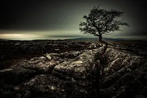 Mystic: Bald tree on rocky ground with dark cloudy sky
