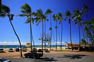 Rescue: Baldwin Beach Park with palm trees, a golden sandy
