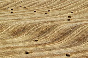 Bales: Bales of straw and abstract patterns in a cornfield afte
