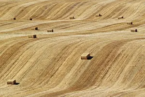 Bales: Bales of straw and abstract patterns in a cornfield afte