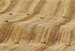 Bales: Bales of straw and abstract patterns in a cornfield afte