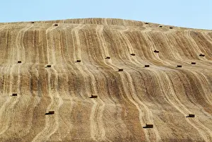 Bales: Bales of straw and abstract patterns in a cornfield afte