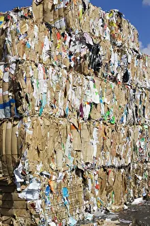 Stacked: Bales of waste paper and cardboard cartons stacked