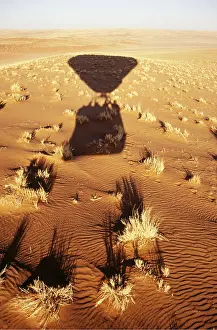 Balloon: Balloon Safari - view of grass-grown sand dunes