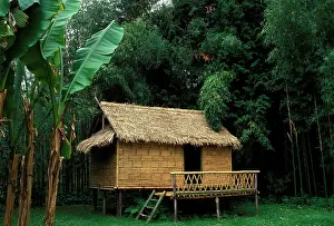 Bamboos: Bamboo house, typical laotian