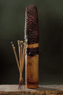 Quiver: Bamboo quiver and poisoned darts