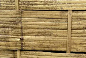 Bamboos: Bamboo - wall of a malaysian house