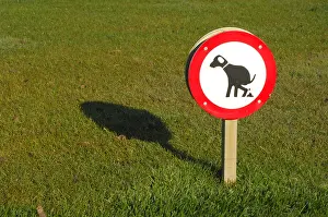 Signs: Ban panel against dog droppings Holland