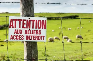 Materials: Ban sign Be careful to aries