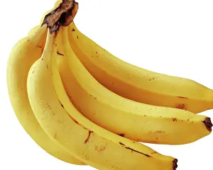Musa: Banana