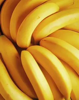 Musa: Banana