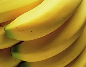 Musa: Banana