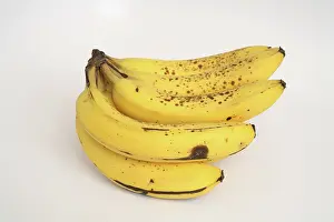 Ripening: Banana Ripening Sequence