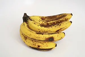 Ripening: Banana Ripening Sequence