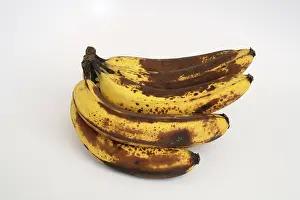 Ripening: Banana Ripening Sequence