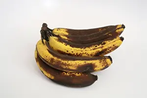 Ripening: Banana Ripening Sequence
