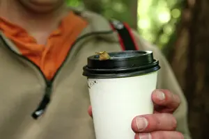 Slugs: Banana Slug