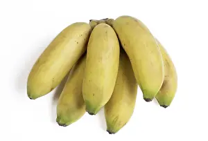 Bananas: Bananas bunch