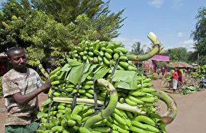 Selling: Bananas for Sale, Mosquito Village, Tanzania