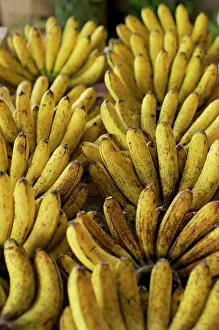 Brian Mcdairmant: Bananas - Tomohon Tomohon Market